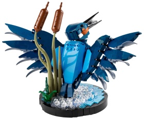 LEGO® Icons 10331 - Kingfisher Bird