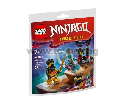 LEGO® NINJAGO 30700 - Битката на Арин срещу човек-дракон