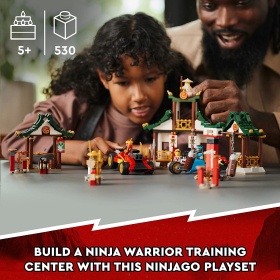 LEGO® NINJAGO™ 71787 - Творческа нинджа кутия с тухлички