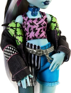 Модна кукла Monster High, Frankie Stein с аксесоари и домашен любимец кученцето Уотзи