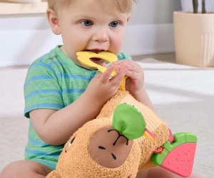 Бебешка играчка Fisher Price, капибара