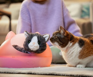 Baby Born - Интерактивно коте Cookie