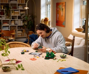 LEGO® Botanicals 11505 - Горски гъби